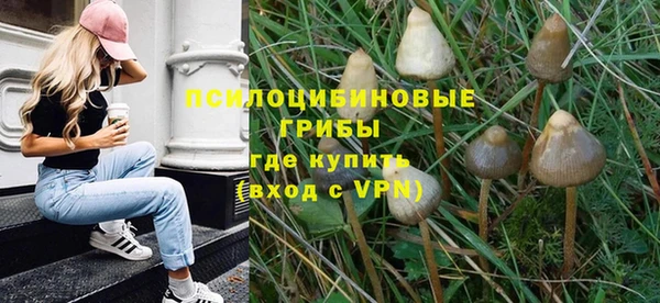 крисы Дмитровск