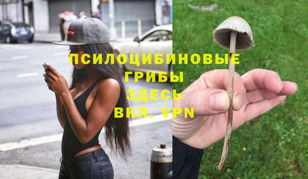 крисы Дмитровск