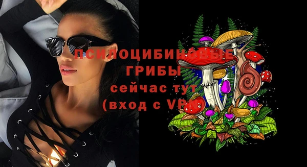 крисы Дмитровск