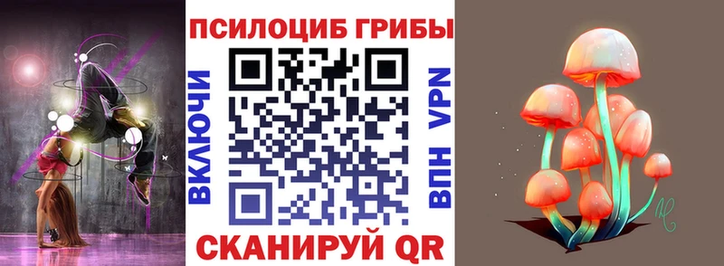 Галлюциногенные грибы Cubensis  Купить  Усть-Катав 